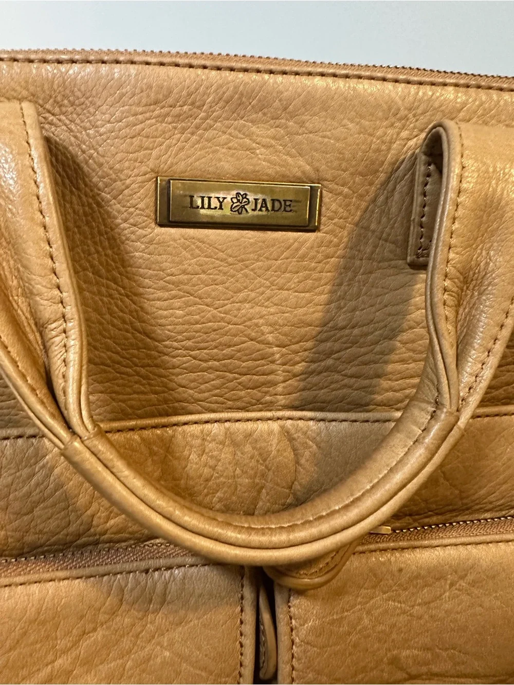 Lily & Jade Diaper Convertible leather Backpack